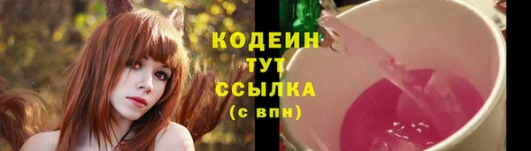 гашик Вязьма