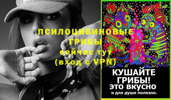 мет Вяземский