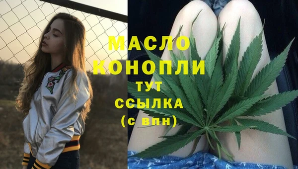 гашик Вязьма