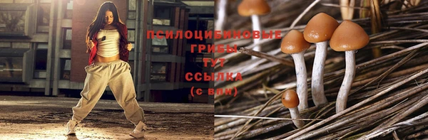 гашик Вязьма