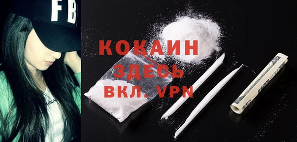 твердый Вязники
