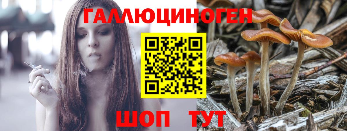 Елец  Псилоцибиновые грибы GOLDEN TEACHER  Вход с VPN 